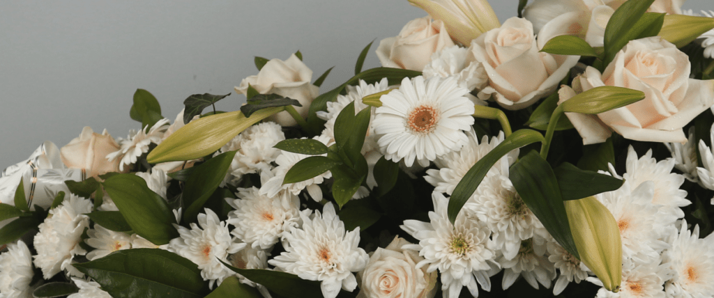 A bouquet of daisy's